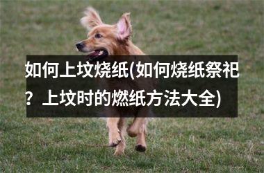 如何上坟烧纸(如何烧纸祭祀？上坟时的燃纸方法大全)