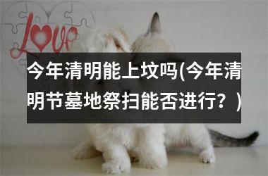 <h3>今年清明能上坟吗(今年清明节墓地祭扫能否进行？)