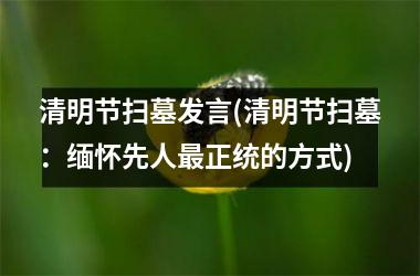 <h3>清明节扫墓发言(清明节扫墓：缅怀先人最正统的方式)