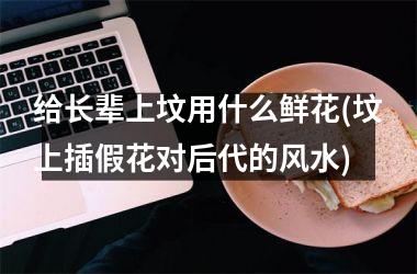 <h3>给长辈上坟用什么鲜花(坟上插假花对后代的风水)