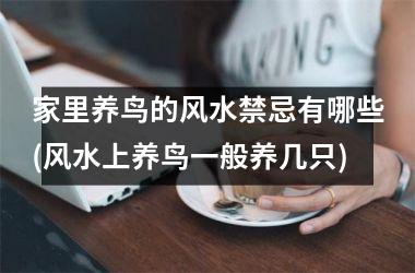 家里养鸟的风水禁忌有哪些(风水上养鸟一般养几只)