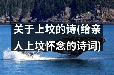 关于上坟的诗(给亲人上坟怀念的诗词)