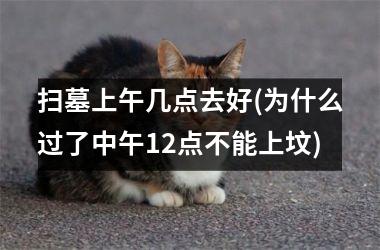 <h3>扫墓上午几点去好(为什么过了中午12点不能上坟)