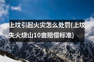 <h3>上坟引起火灾怎么处罚(上坟失火烧山10亩赔偿标准)
