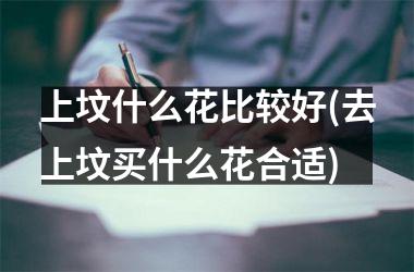 <h3>上坟什么花比较好(去上坟买什么花合适)