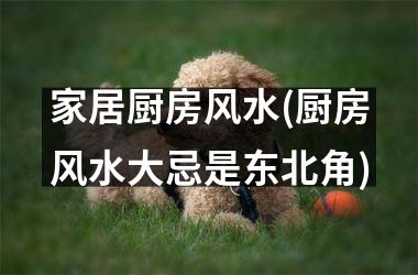 <h3>家居厨房风水(厨房风水大忌是东北角)