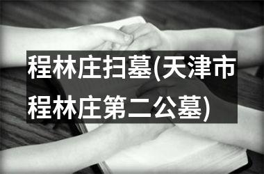 <h3>程林庄扫墓(天津市程林庄第二公墓)