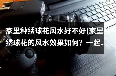 <h3>家里种绣球花风水好不好(家里种绣球花的风水效果如何？一起来了解吧！)