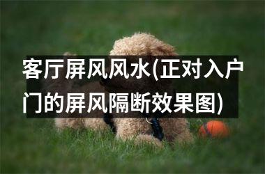 <h3>客厅屏风风水(正对入户门的屏风隔断效果图)