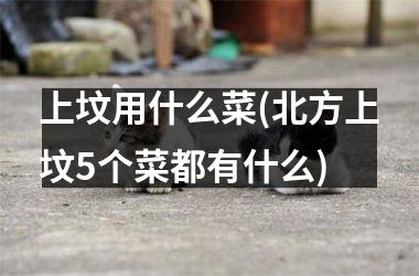 上坟用什么菜(北方上坟5个菜都有什么)