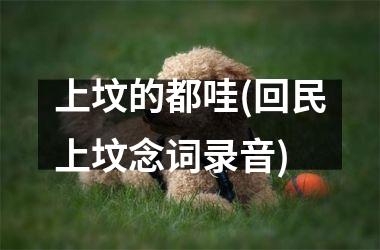 <h3>上坟的都哇(回民上坟念词录音)