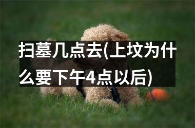 <h3>扫墓几点去(上坟为什么要下午4点以后)