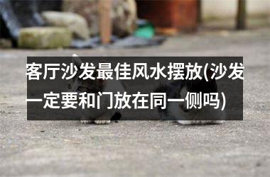客厅沙发最佳风水摆放(沙发一定要和门放在同一侧吗)