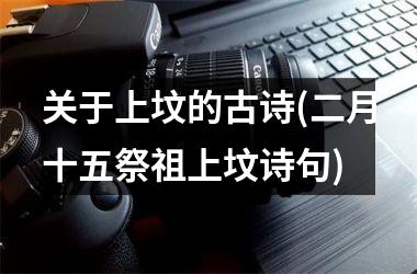 关于上坟的古诗(二月十五祭祖上坟诗句)