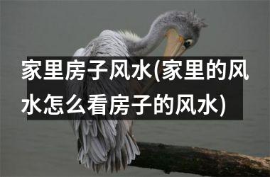 家里房子风水(家里的风水怎么看房子的风水)
