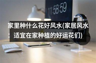 家里种什么花好风水(家居风水：适宜在家种植的好运花们)