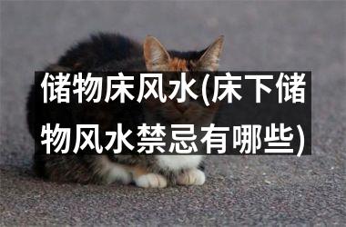 <h3>储物床风水(床下储物风水禁忌有哪些)