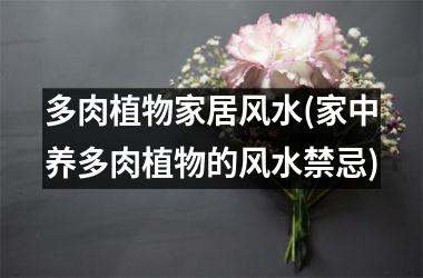 <h3>多肉植物家居风水(家中养多肉植物的风水禁忌)