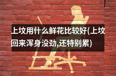 <h3>上坟用什么鲜花比较好(上坟回来浑身没劲,还特别累)