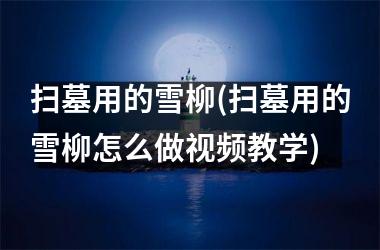 <h3>扫墓用的雪柳(扫墓用的雪柳怎么做教学)