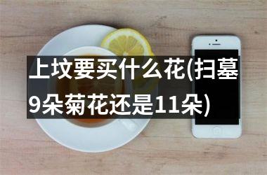 <h3>上坟要买什么花(扫墓9朵菊花还是11朵)