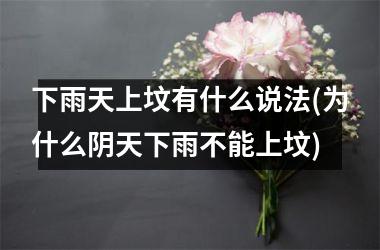 <h3>下雨天上坟有什么说法(为什么阴天下雨不能上坟)