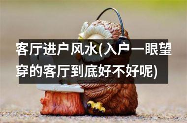 <h3>客厅进户风水(入户一眼望穿的客厅到底好不好呢)