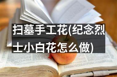<h3>扫墓手工花(纪念烈士小白花怎么做)