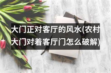 <h3>大门正对客厅的风水(农村大门对着客厅门怎么破解)