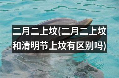 二月二上坟(二月二上坟和清明节上坟有区别吗)