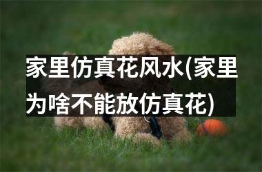 <h3>家里仿真花风水(家里为啥不能放仿真花)