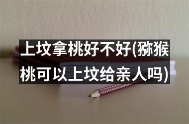 <h3>上坟拿桃好不好(猕猴桃可以上坟给亲人吗)