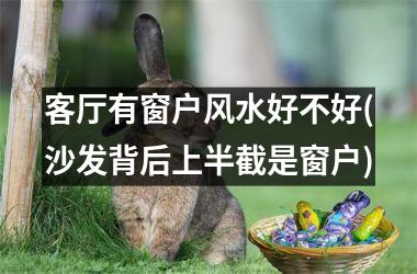 <h3>客厅有窗户风水好不好(沙发背后上半截是窗户)