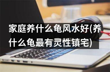 <h3>家庭养什么龟风水好(养什么龟最有灵性镇宅)
