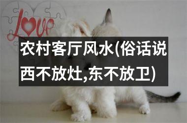 <h3>农村客厅风水(俗话说西不放灶,东不放卫)