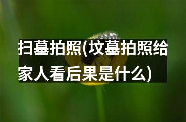 <h3>扫墓拍照(坟墓拍照给家人看后果是什么)