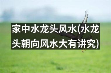 <h3>家中水龙头风水(水龙头朝向风水大有讲究)