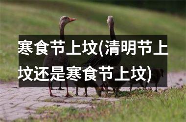 <h3>寒食节上坟(清明节上坟还是寒食节上坟)