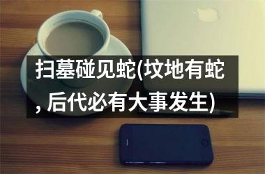 <h3>扫墓碰见蛇(坟地有蛇 , 后代必有大事发生)