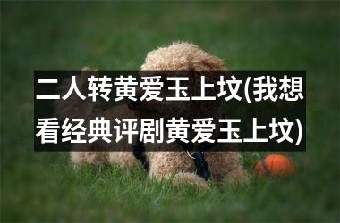 <h3>二人转黄爱玉上坟(我想看经典评剧黄爱玉上坟)