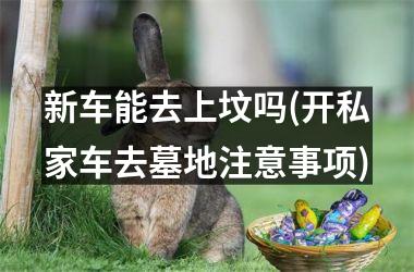 <h3>新车能去上坟吗(开私家车去墓地注意事项)