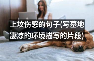 <h3>上坟伤感的句子(写墓地凄凉的环境描写的片段)