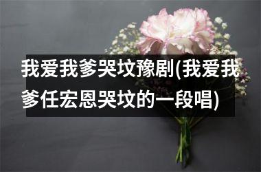 我爱我爹哭坟豫剧(我爱我爹任宏恩哭坟的一段唱)