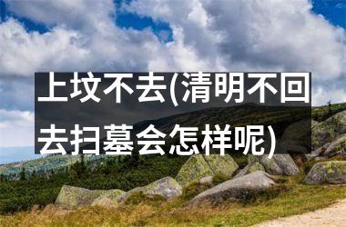 <h3>上坟不去(清明不回去扫墓会怎样呢)