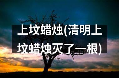 <h3>上坟蜡烛(清明上坟蜡烛灭了一根)