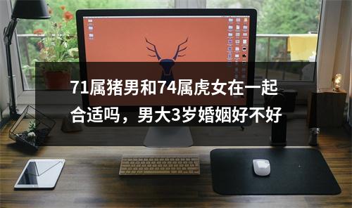 <h3>71属猪男和74属虎女在一起合适吗，男大3岁婚姻好不好