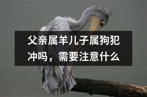 <h3>父亲属羊儿子属狗犯冲吗，需要注意什么