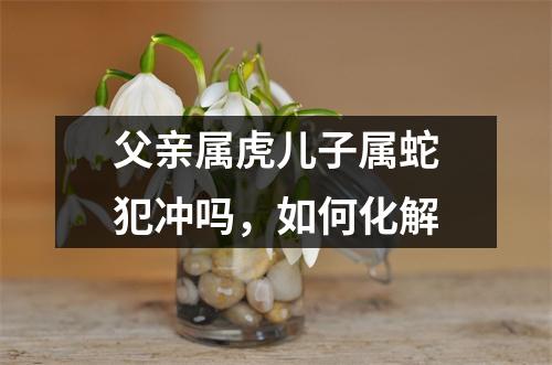 <h3>父亲属虎儿子属蛇犯冲吗，如何化解