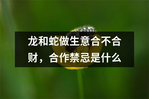 <h3>龙和蛇做生意合不合财，合作禁忌是什么