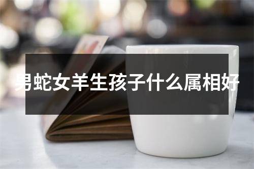 <h3>男蛇女羊生孩子什么属相好